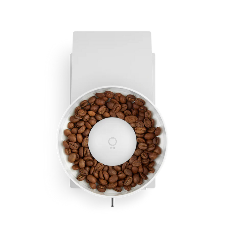 Fellow Opus Conical Burr Grinder