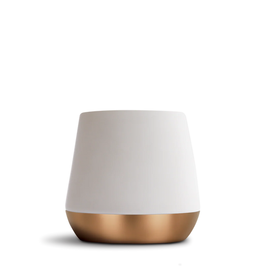 Joey Double Wall Ceramic Mug (12oz)